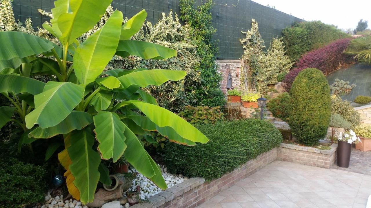 Villa Laura B&B Fossano Exteriör bild
